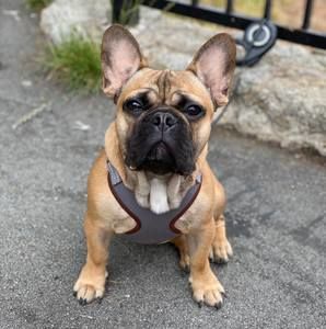 Meet your Posher, Carlo